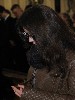 maly_2017-03-23 19-13-52 - 0139.jpg